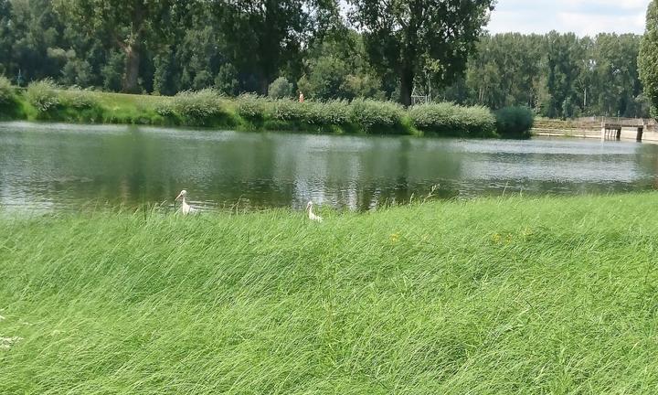 Gaststätte NFH Bootshaus Rappenwört